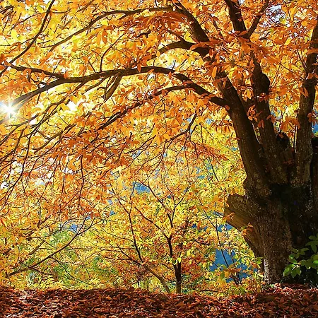 Casa di campagna Centro